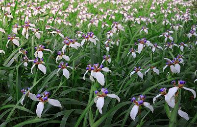 《收获日3》问题太多多半差评 开发商CEO致歉表示尽快修复